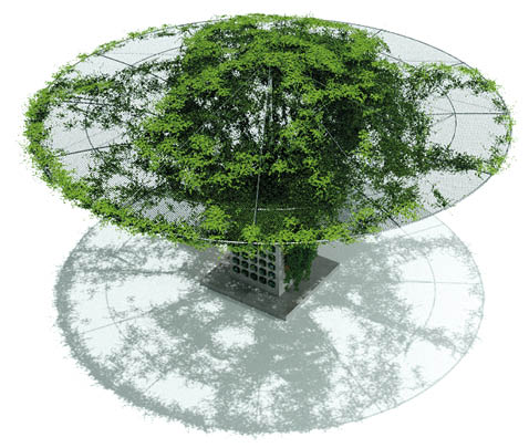 L’entreprise a conçu une ombrière végétale capable de rafraîchir une zone de 64 m². © DR