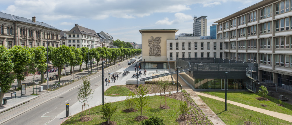 L’INSA et l’Université de Strasbourg font partie des centres de recherche lauréats d’« Offensive Sciences ». © DR