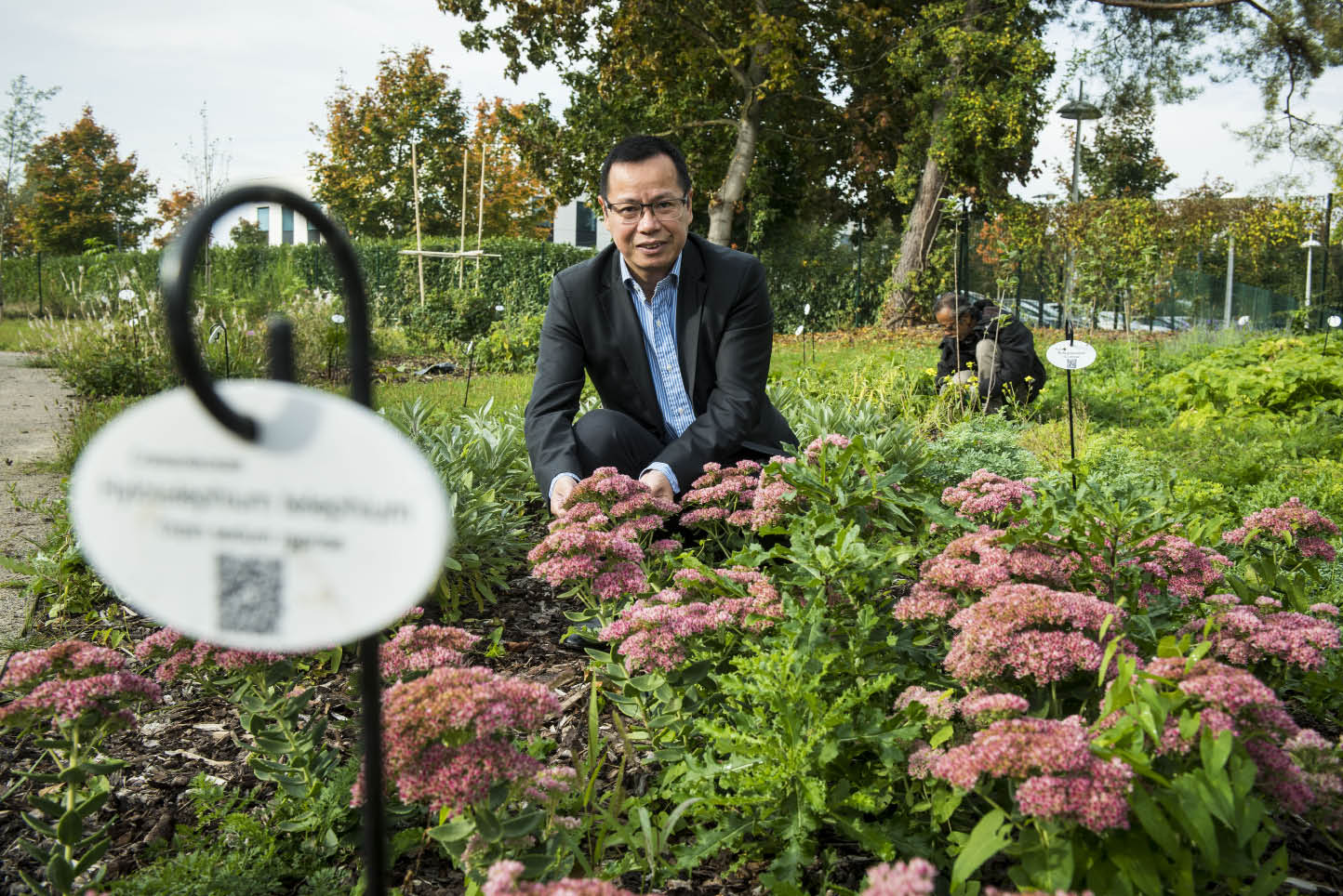 Le Docteur Yulin Jiang cultive son jardin botanique autour de l'usine. © Dorothée Parent