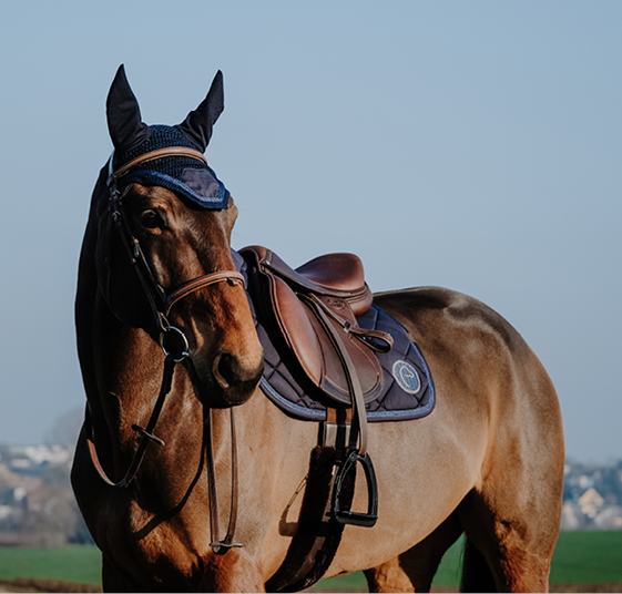 Ekkia, avec sa plate-forme de marques dont Equithème, fournit tous les produits pour habiller le cheval et le cavalier. © DR