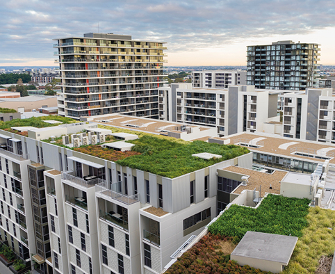 Les toitures végétalisées créent des zones de fraîcheur  en milieu urbain. Elles réduisent et ralentissent l’écoulement des eaux  de pluie, tout en isolant thermiquement et phoniquement les bâtiments. © Adobe Stock